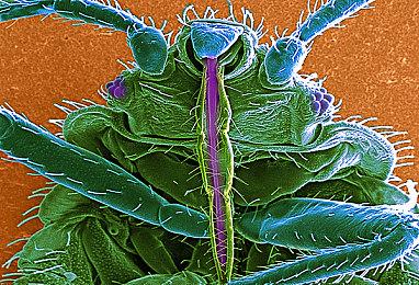 游戏故事比电影电视剧更精彩：美末战神等故事让人难忘